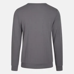 Grå langærmet bambus sweatshirt